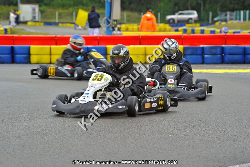 DSC_ (1065).jpg